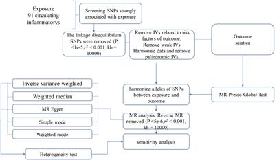 Causal association between circulating inflammatory markers and sciatica development: a Mendelian randomization study